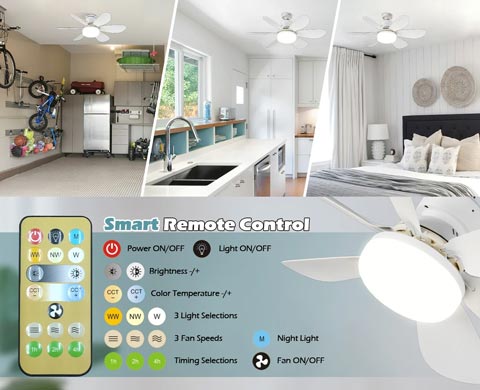 FEATURES ADJUSTABLE BRIGHTNESS AND WIND SPEED The LED fan lamp has adjustable brightness and color temperature settings